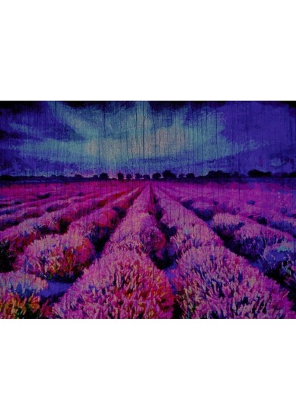 Mor Çiçek Tarlası Canvas Tablo (50X70) fiyatları