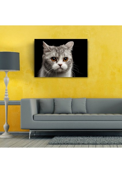 Şirin Gri Kedi Kanvas Tablo 50 x 70 fiyatları