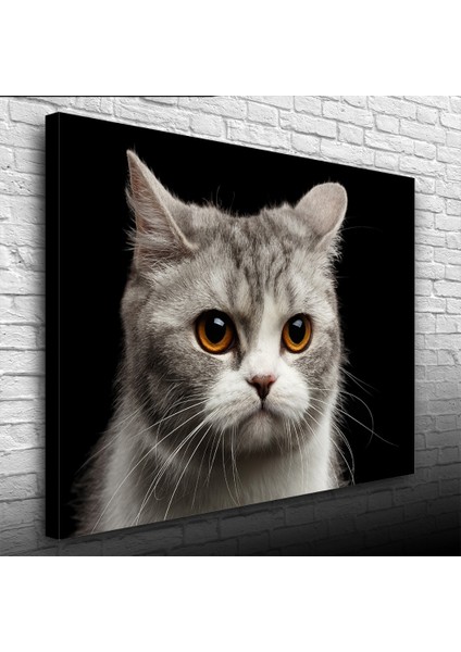 Şirin Gri Kedi Kanvas Tablo 50 x 70 modelleri