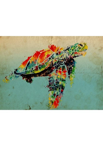 Renkli Kaplumbağa Canvas Tablo (50X70) fiyatları