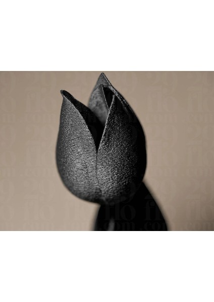 Siyah Lale – Modern Minimal Çiçek Figürü fiyatları