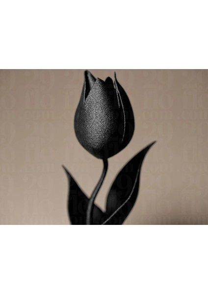 Siyah Lale – Modern Minimal Çiçek Figürü fırsatları