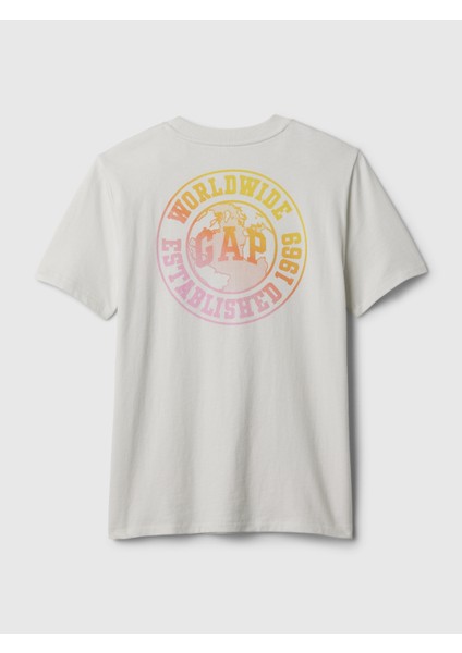 Erkek Çocuk Gri Grafikli T-Shirt