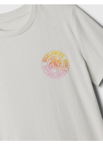 Erkek Çocuk Gri Grafikli T-Shirt