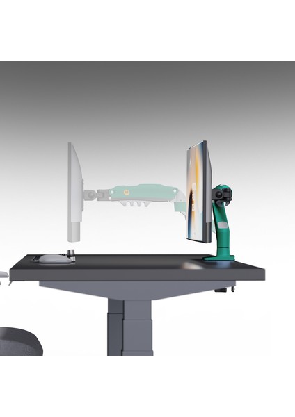 F80 17"-30" Amortisörlü 2-9 kg Monitör Standı fırsatları