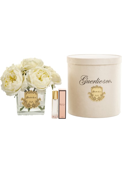 Guerlieandco. Krem 7 Şakayık Kare Cam Gold