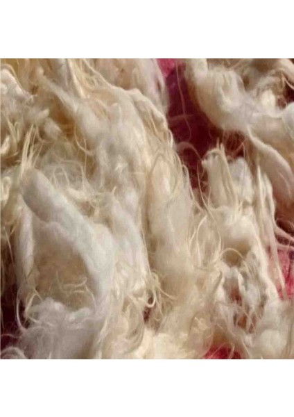 Koyun Yünü Yıkanmamış 100 gr fiyatları