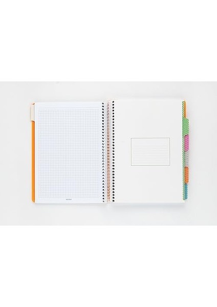 Capricorn Ofis Serisi, A4, 4 Konulu (3 Kareli, 1 Çizgili) 120 Yaprak Pp Kapaklı Spiralli Defter, Bej