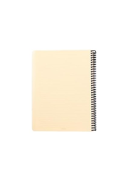 Capricorn Ofis Serisi, A4, 4 Konulu (3 Kareli, 1 Çizgili) 120 Yaprak Pp Kapaklı Spiralli Defter, Bej