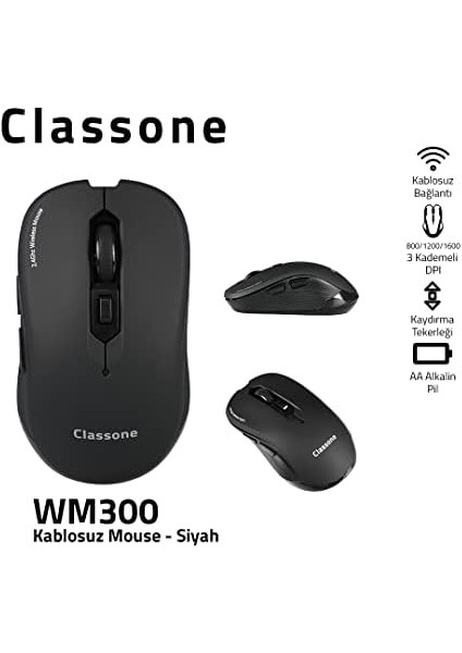 WM300 Serisi Kablosuz Mouse, Siyah