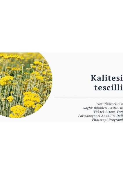Immortelle Essential Oil (ÖLMEZÇİÇEK UÇUCU YAĞI) 5 ml