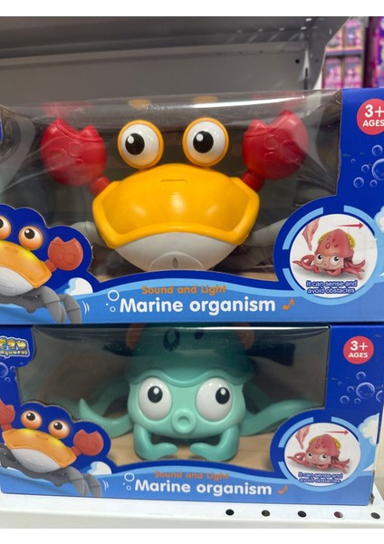 Elite Bebek Için Yürüyen Pilli Ahtapot ve Yengeç Emekleme Arkadaşım 2 Li Set 1 Adet