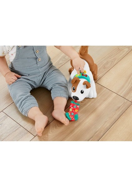 Elite Emeklemeyi ve Saymayı Öğreten Köpekçik - Türkçe Seri, Eğitici Içerikl 1 Adet