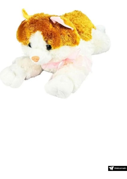 Oyuncak Sesli Dolgun 36 cm Peluş Kedi Oyun ve Uyku Arkadaşım Kedicik 1 Adet