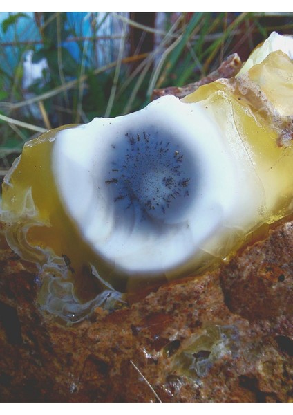 Elite Nadir Doğal Baykuş Gözü Dendritik Opal Jeot Eşsiz Koleksiyonluk Dekor Ham Mineral Menşei Bilecik 1 Adet modelleri
