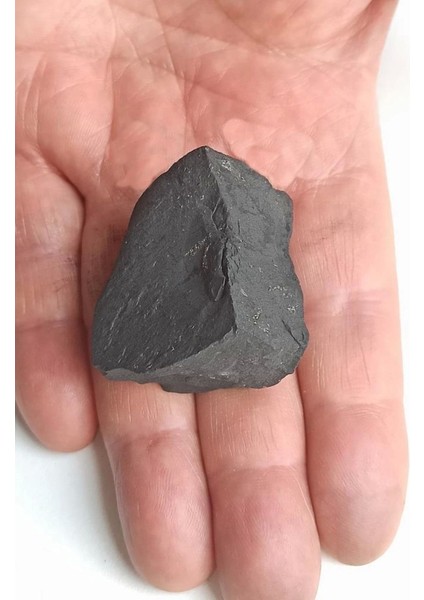 Elite Shungite Doğal Şungit Taşı Küçük Parça 213 1 Adet