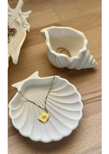 Elite Deniz Kabuğu ve Istiridye Set Beyaz 041 1 Adet