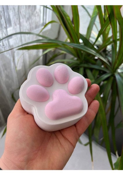 Elite Pati Kutusu, Kedi Pati Kutusu, Köpek Pati Kutusu, Takı Kutusu, Paw Box 1 Adet