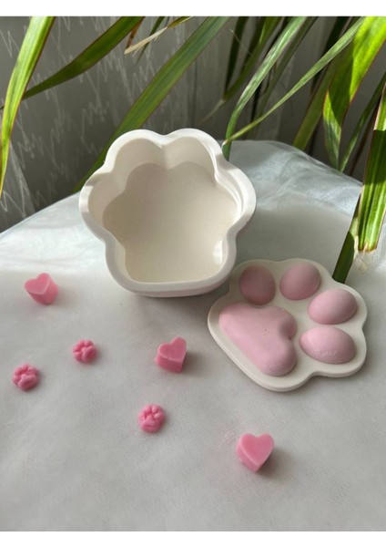 Elite Pati Kutusu, Kedi Pati Kutusu, Köpek Pati Kutusu, Takı Kutusu, Paw Box 1 Adet