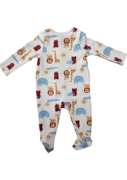 Tulum Aslanlı fiyatları