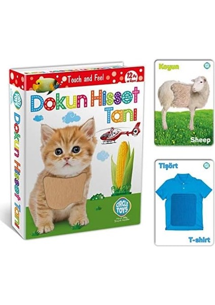 Toys Dokun Hisset Tanı Eğitim Kartları, Zeka Kartları - Touch And Feel