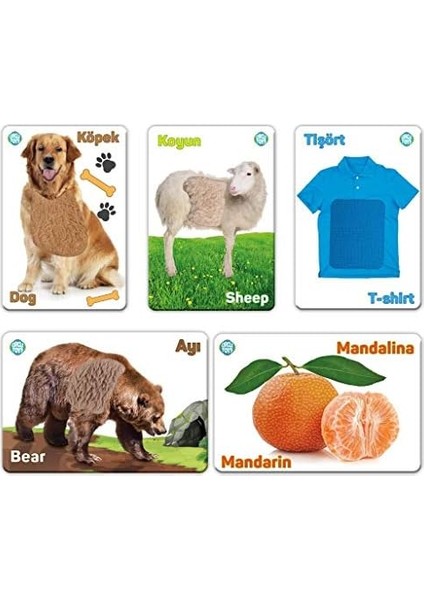 Toys Dokun Hisset Tanı Eğitim Kartları, Zeka Kartları - Touch And Feel