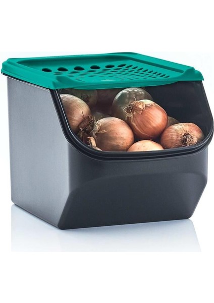 Elite Midi Kiler Patates Soğanlık 3 Lt. 1 Adet