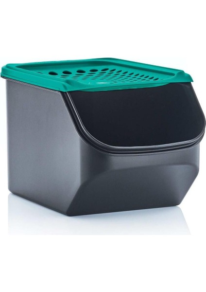 Elite Midi Kiler Patates Soğanlık 3 Lt. 1 Adet