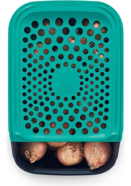 Elite Midi Kiler Patates Soğanlık 3 Lt. 1 Adet