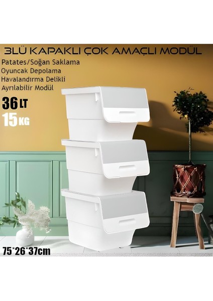 Elite 3’lü Kapaklı Sepet Tekerlekli Patates-Soğan Erzak Saklama Kutusu Oyuncak Için Organizer Rafı 1 Adet