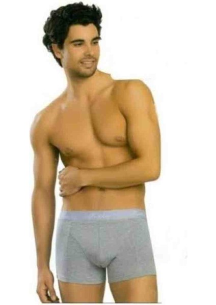 Erkek Elastan Boxer