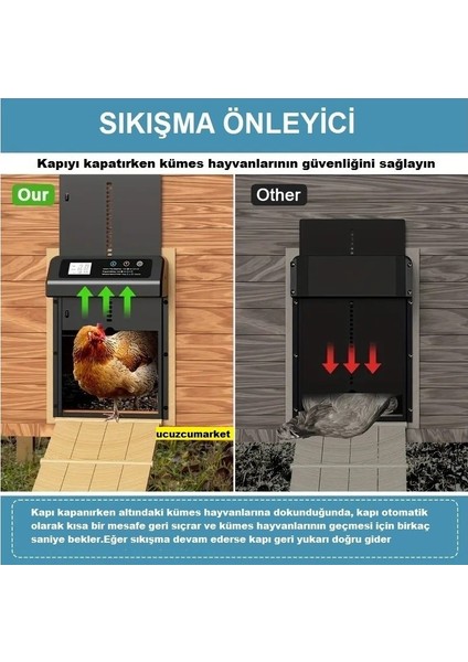 Zaman Ayarlı Programlanabilir Dijital Ekranlı Kümes Kapısı (Sıkışma Önleyici -Su Geçirmez) fırsatları