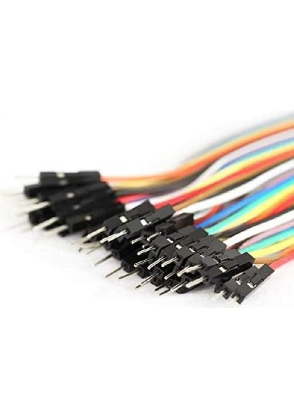 40 Pin Ayrılabilen Erkek-Erkek M-M Jumper KABLO-200 mm