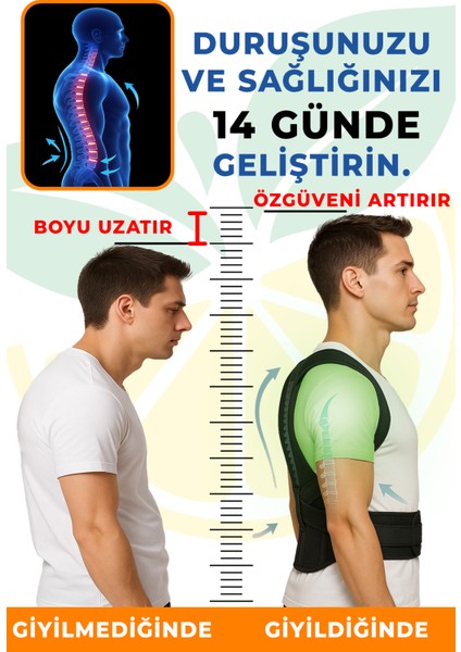 Dik Duruş Korsesi – Omurga Eğriliği Önleyici, Çift Balenli, Günlük ve Spor Kullanıma Uygun Elilom Ceku fiyatları