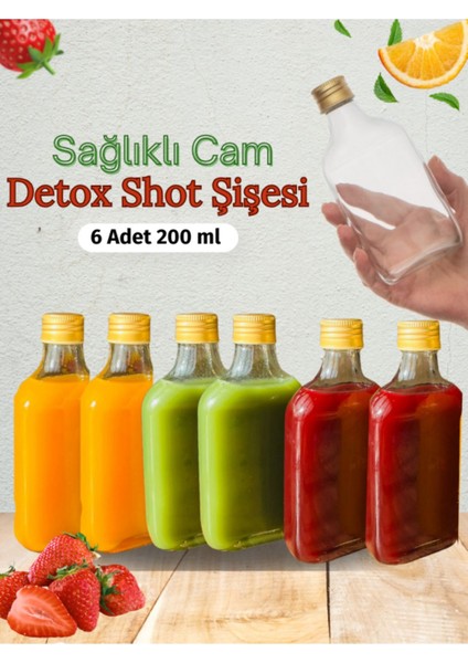 Elite 6'lı Sızdırmaz Gold Metal Kapaklı Çok Amaçlı Cold Brew Yassı Şişe Seti 1 Adet