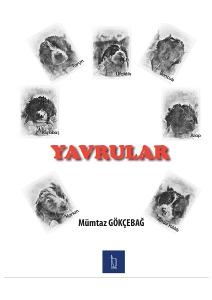 Yavrular- Mümtaz Gökçebağ
