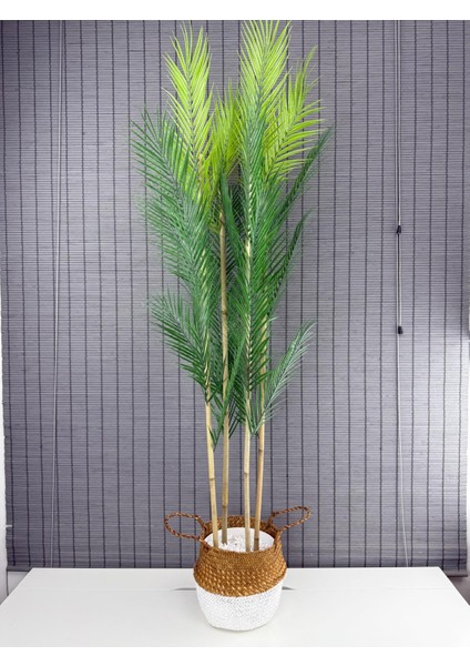 Dekoratif Yapay Yapraklı Hasır Bambu Sepetli Areka Palmiye Ağacı 4 Gövde 150CM