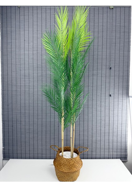 Dekoratif Yapay Yapraklı Hasır Bambu Sepetli Areka Palmiye Ağacı 4 Gövde 150CM