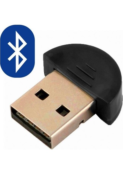 Powermaster Mini USB Bluetooth 5.0 Dongle Adaptör (Pc - Laptop - Masaüstü - Android)