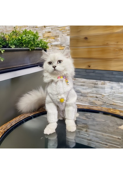 Kedi ve Köpek Için Papatyalı Beyaz Kazak fiyatları
