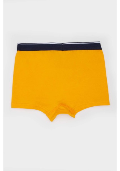 Erkek Çocuk Çizgili 3'lü Boxer E1575A824AU