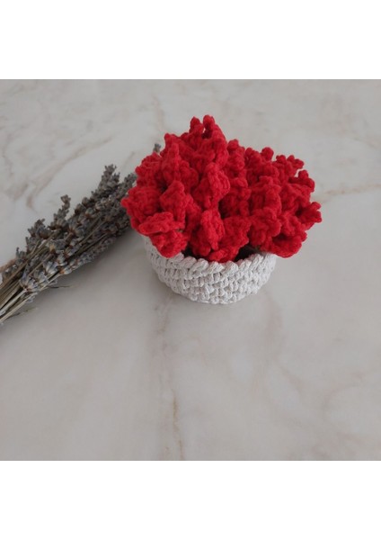 Elite El Örgüsü Laleli Bardak/fincan/kupa Altlığı ve Sepeti [bardak Altı 13 Cm] 1 Adet fiyatları