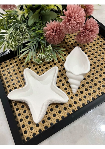 Elite 2’li Beton Deniz Yıldızı ve Istiridye Set 1 Adet