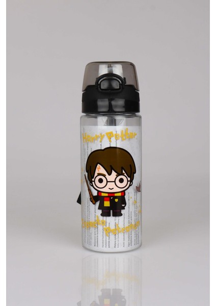 Lisanslı Harry Potter Trıtan Matara 500 ml