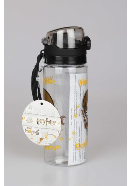 Lisanslı Harry Potter Trıtan Matara 500 ml