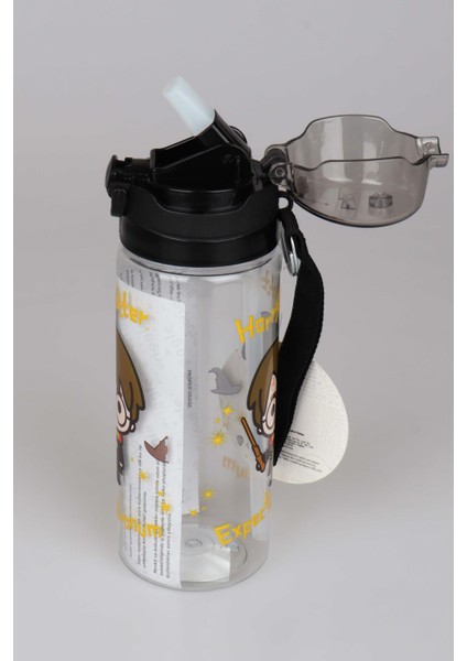 Lisanslı Harry Potter Trıtan Matara 500 ml