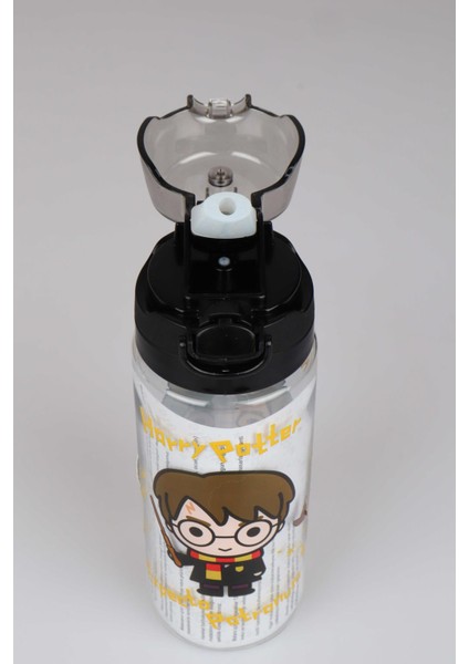 Lisanslı Harry Potter Trıtan Matara 500 ml