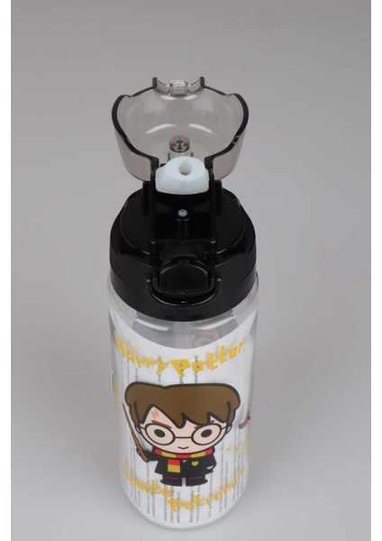 Lisanslı Harry Potter Trıtan Matara 500 ml