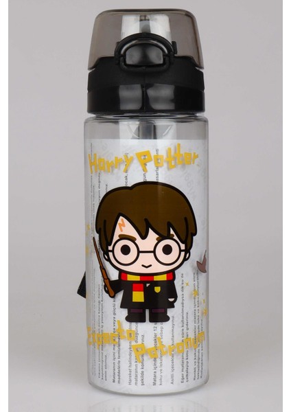 Lisanslı Harry Potter Trıtan Matara 500 ml