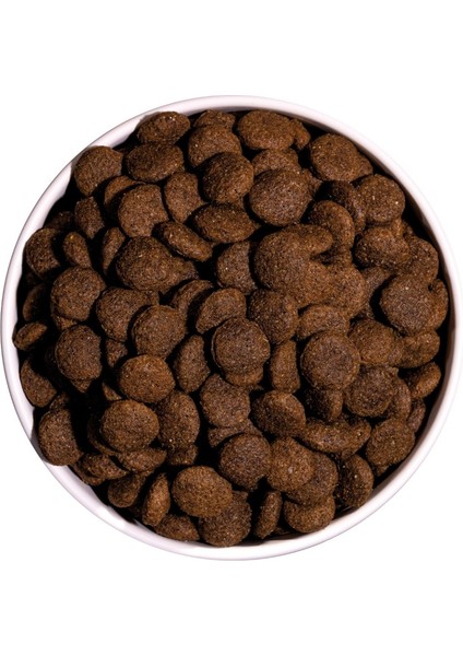 4 kg Ördekli Classic Adult Köpek Maması fırsatları